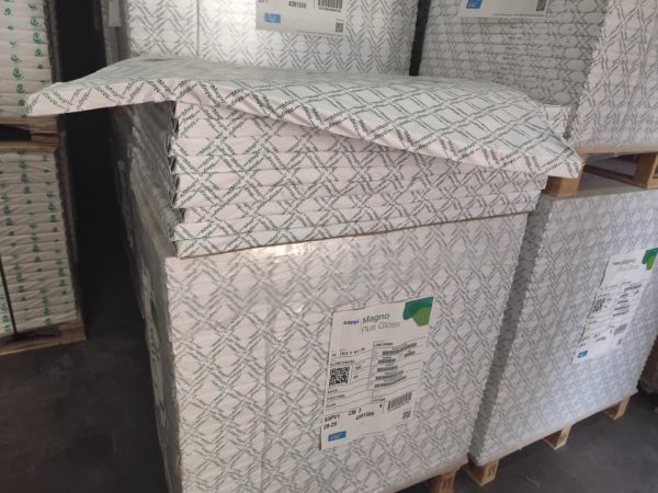 WhatsApp Image 2025-12-08 at 13.36.34