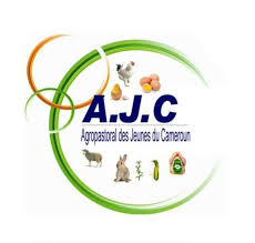 téléchargement (4)